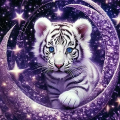 Diamond Art Painting Kits Embroidery Full Crystal Mosaic 5D Diy Diamond Paintings Kits New 2025 Accessories 30x30 cm Wall Art