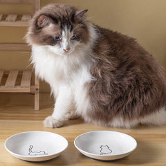 Ceramic Food Bowl for Cats; Anti-Skid Silicone Pad; Appealing Kitten Dish; Pet Feeding Essentials