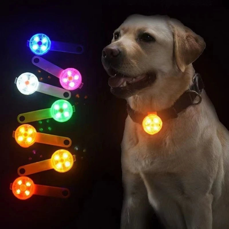 Dog Collar, Loss Collar, Weatherproof LED Safety Light, USB Rechargeable LED Light Collar, Dog, Cat, Pet