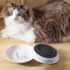 Ceramic Food Bowl for Cats; Anti-Skid Silicone Pad; Appealing Kitten Dish; Pet Feeding Essentials