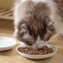Ceramic Food Bowl for Cats; Anti-Skid Silicone Pad; Appealing Kitten Dish; Pet Feeding Essentials